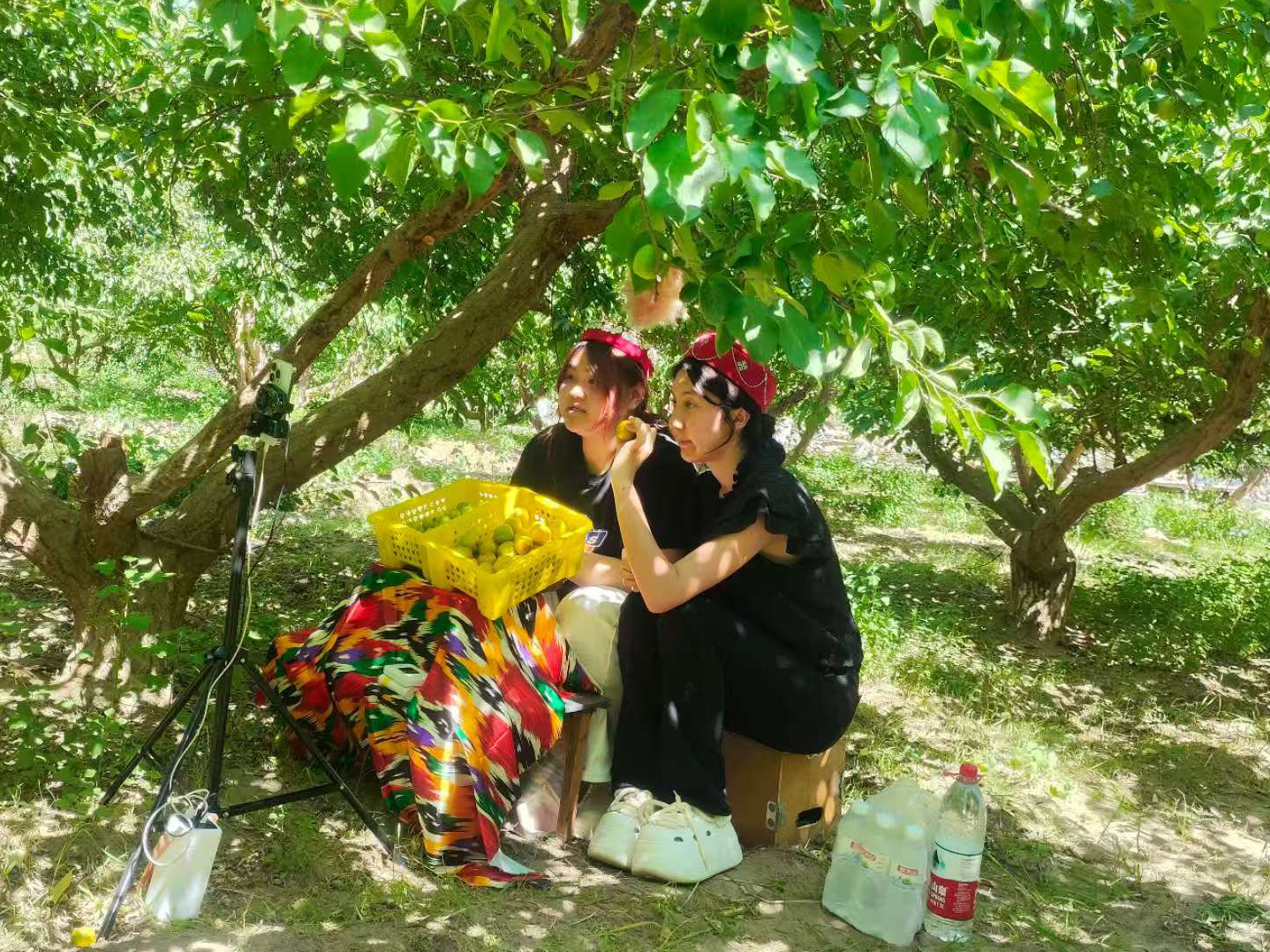 6ef89c7d9a.jpg 6ef89c7d9a.jpg